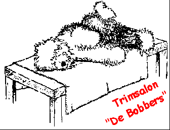 Trimsalon 
