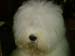 Youri 290804