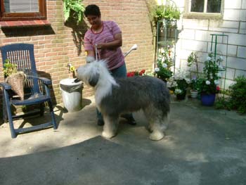 Dylan juni 2004