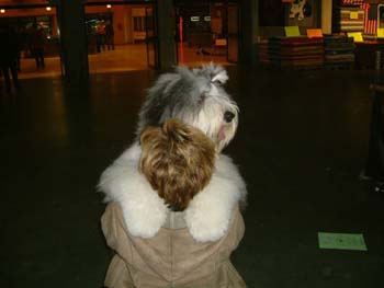 Gina 2002 mrt