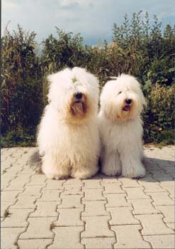 Youri en Shannon