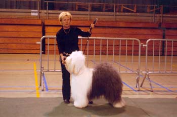 Shannon boesc 2003